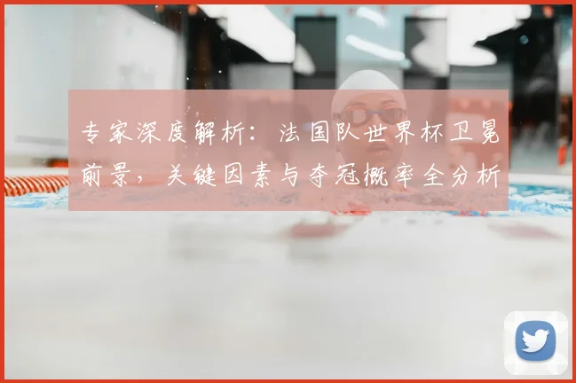 专家深度解析：法国队世界杯卫冕前景，关键因素与夺冠概率全分析