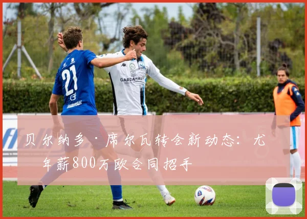 贝尔纳多·席尔瓦转会新动态:尤文年薪800万欧合同招手